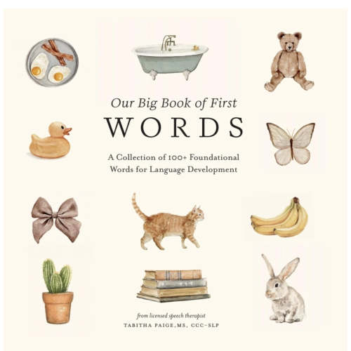 Our Big Book of Words