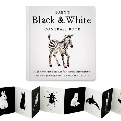 Our Little Adventures Baby's Black and White Contrast Book: High-Contrast Art for Visual Stimulation at Tummy Time, (Board Book)