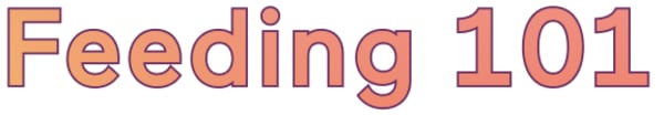 Newsletter content from babylist