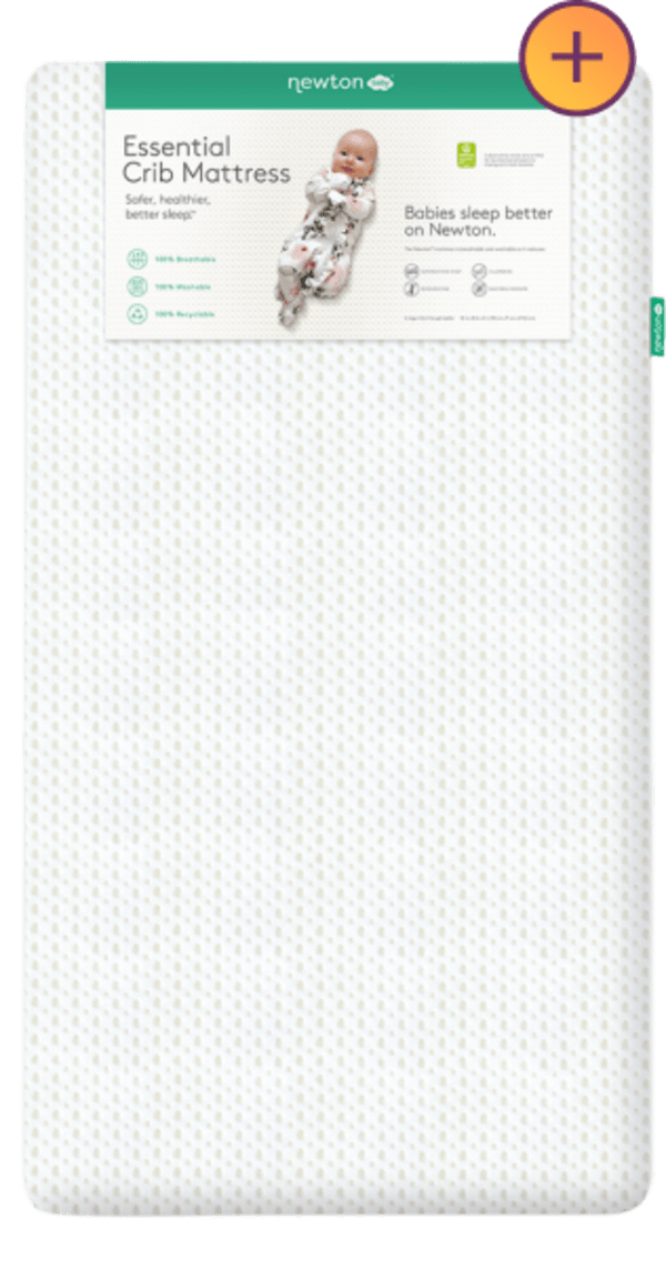 Newsletter content from babylist
