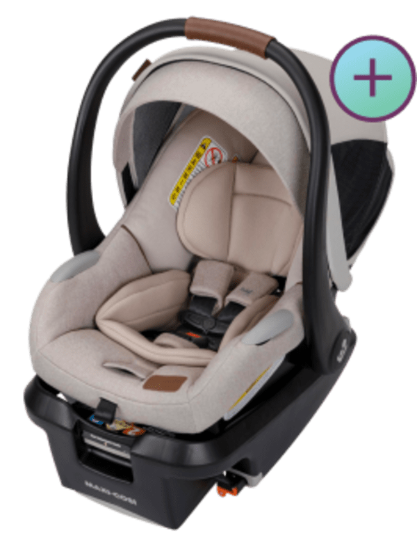 Newsletter content from babylist