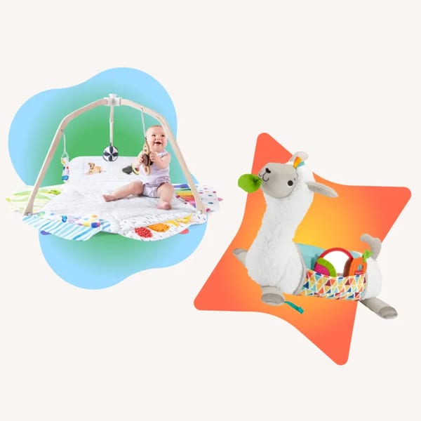 developmental toys