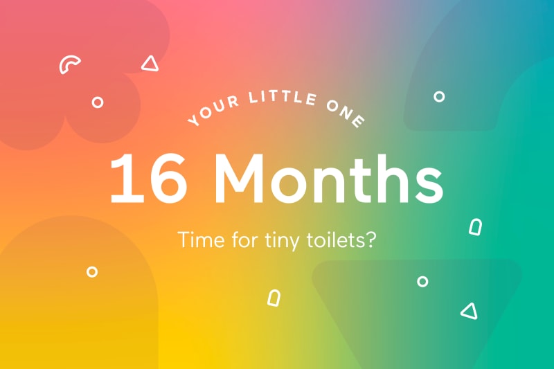 16-Month-Old Toddler: Your Little Potty Trainer (Almost!).