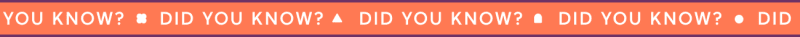 Newsletter content from babylist