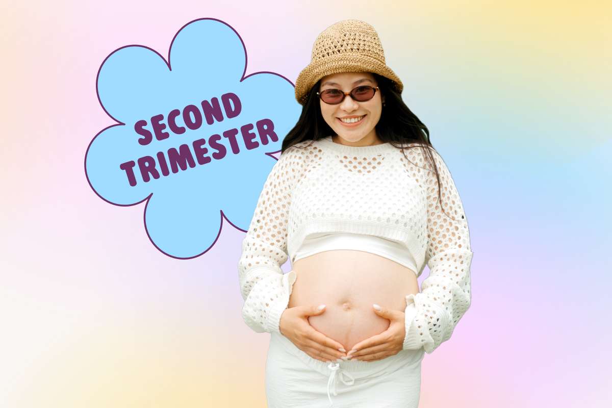Second Trimester.