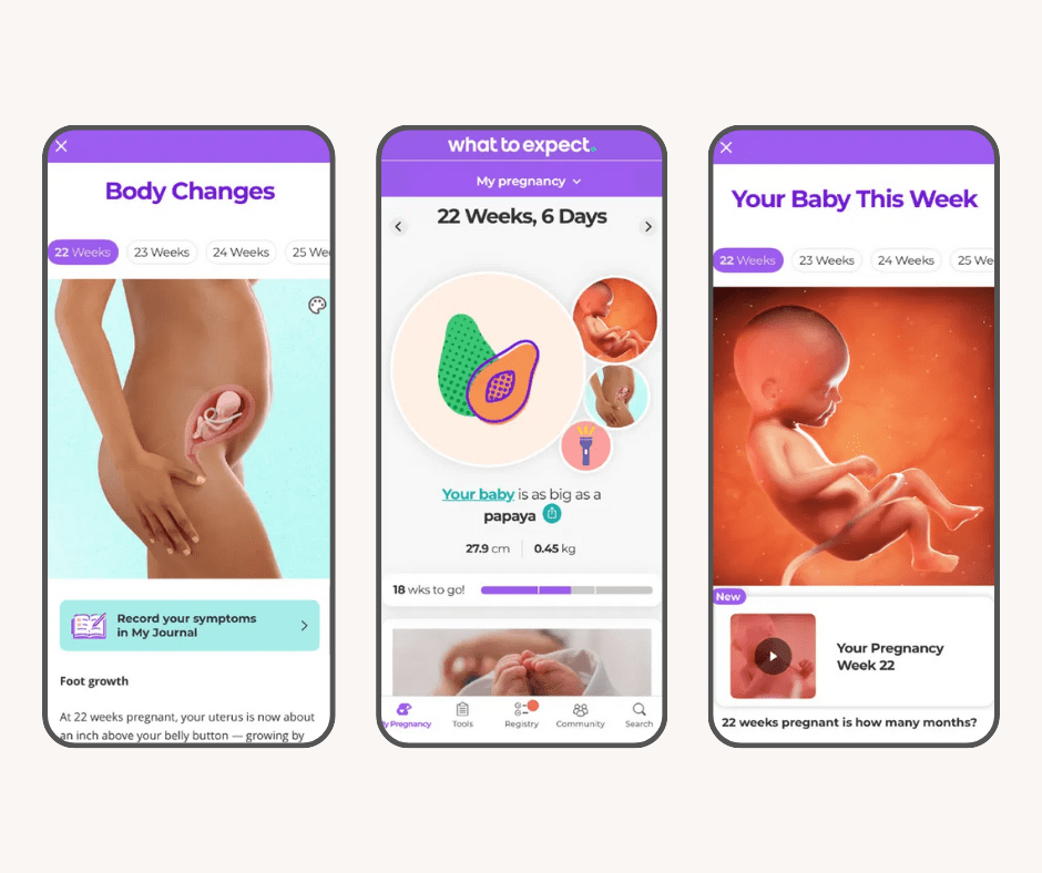 WTE app screenshots.