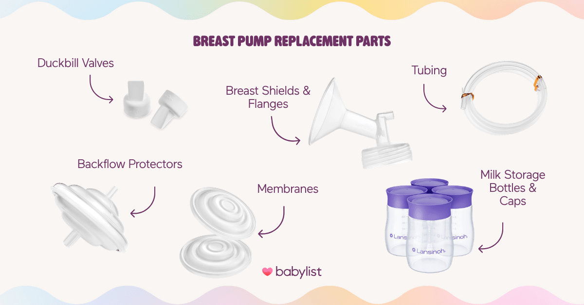 Breast pump parts image.