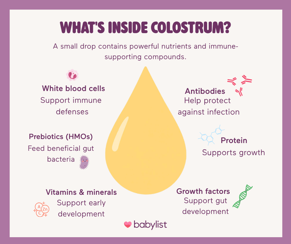 what is colostrum graphic.