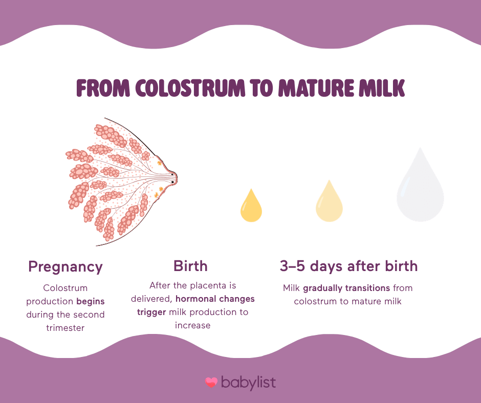 Colostrum to mature milk timeline graphic.