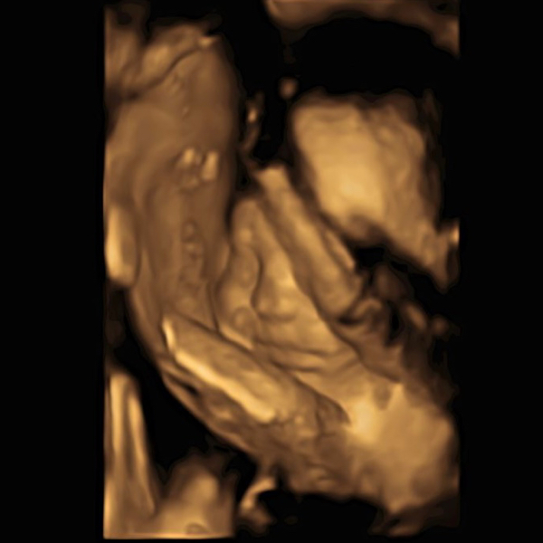 Babylist Registry Photo.