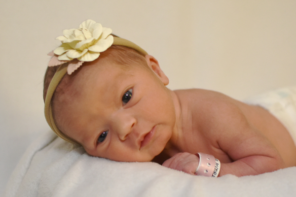 Babylist Registry Photo.
