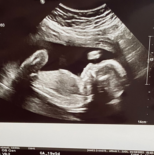 Babylist Registry Photo.