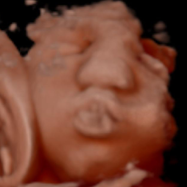 Babylist Registry Photo.