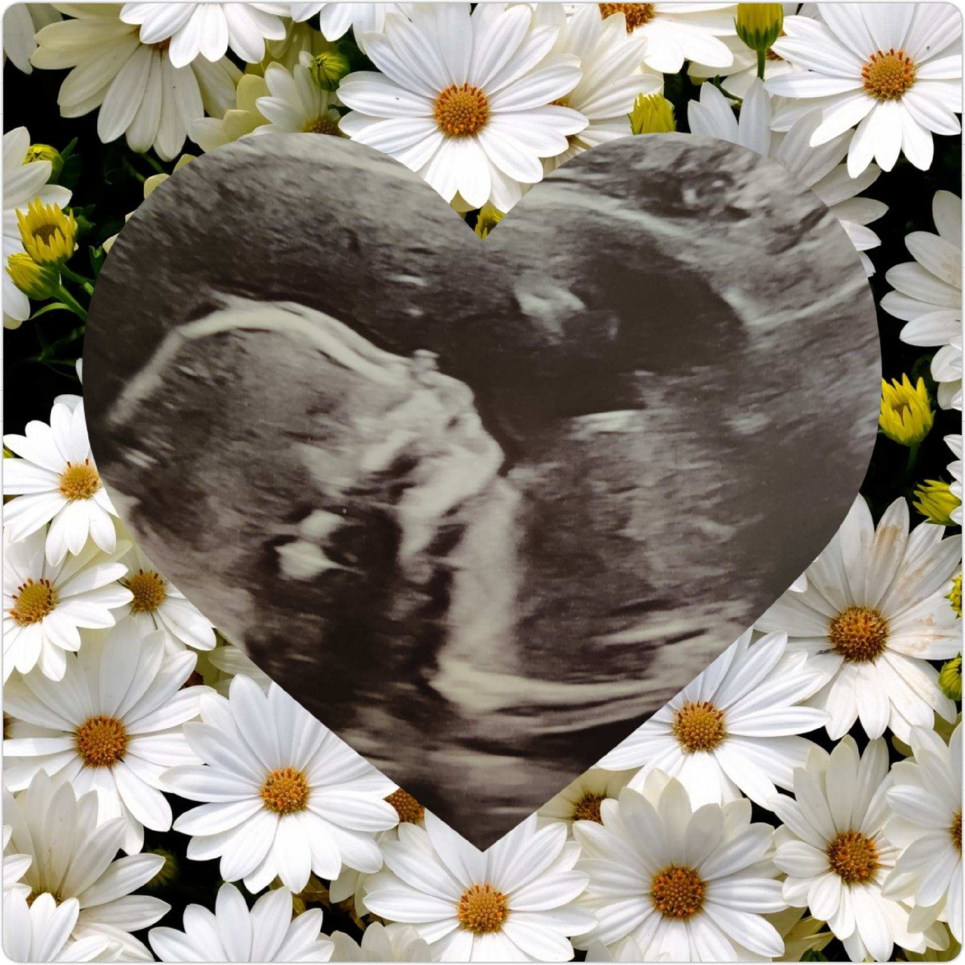 Babylist Registry Photo.