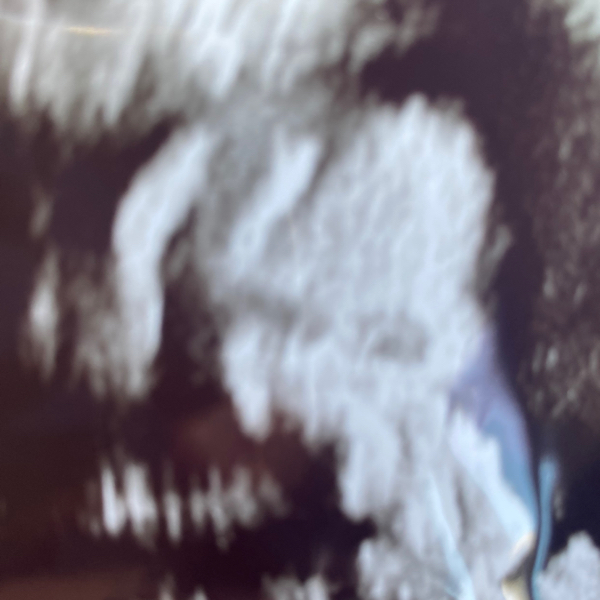 Babylist Registry Photo.