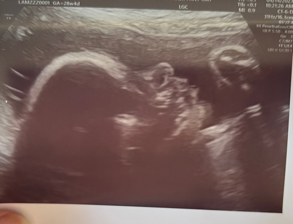 Babylist Registry Photo.