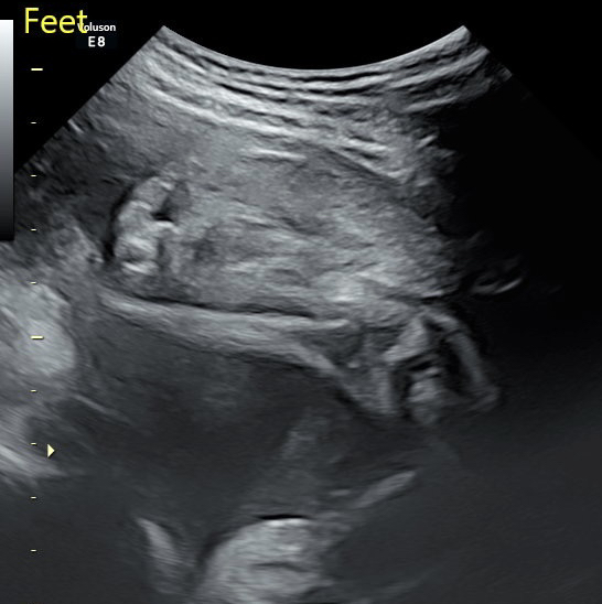Babylist Registry Photo.