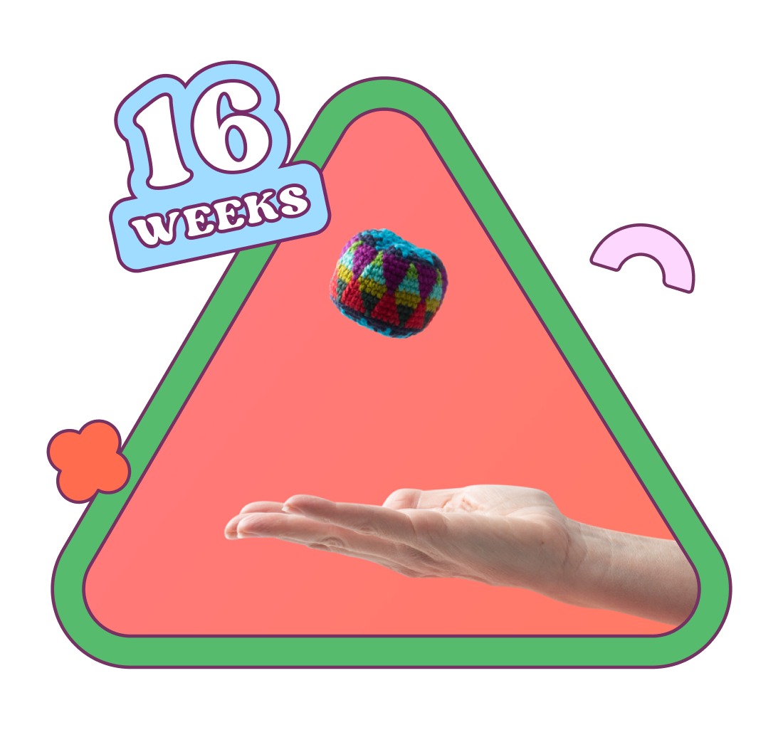 Week 16