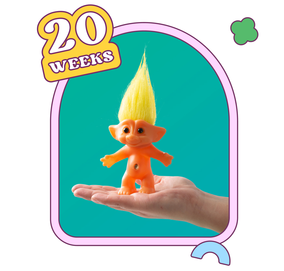 Week 20
