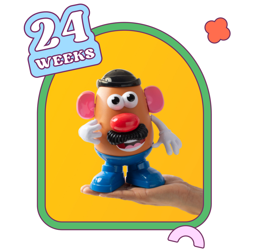 Week 24