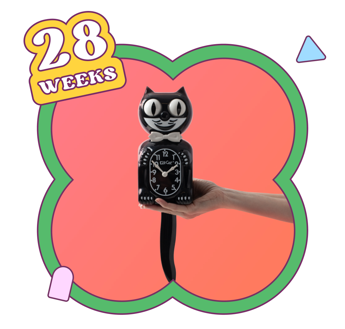 Week 28
