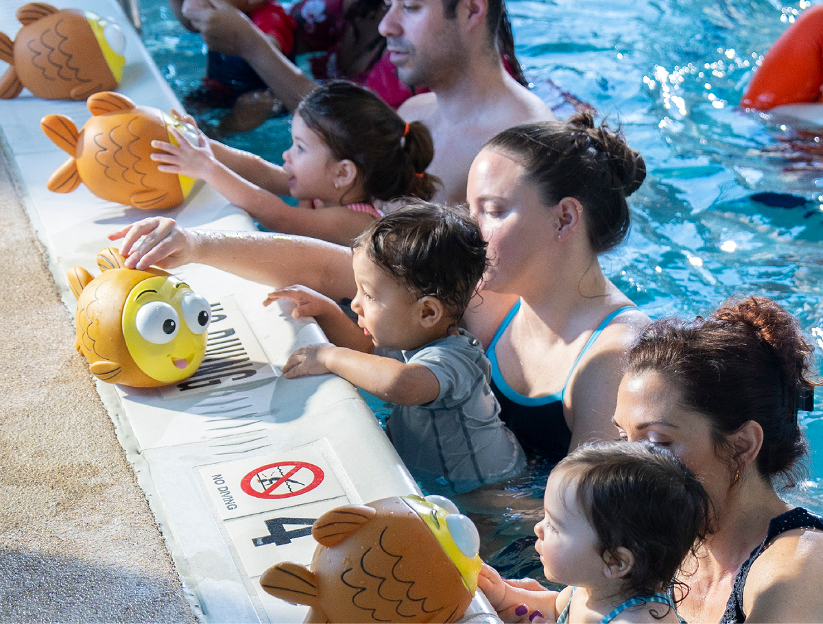 goldfish swim school