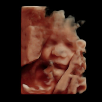 Babylist Registry Photo.
