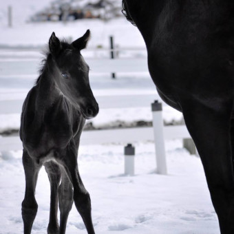 Babylist Registry Photo.