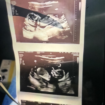 Babylist Registry Photo.