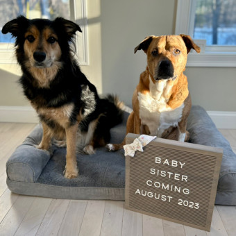 Babylist Registry Photo.