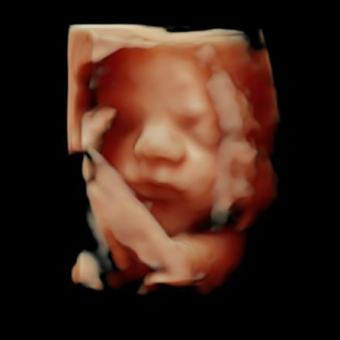 Babylist Registry Photo.