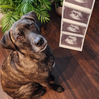 Baby Baker Registry Photo.
