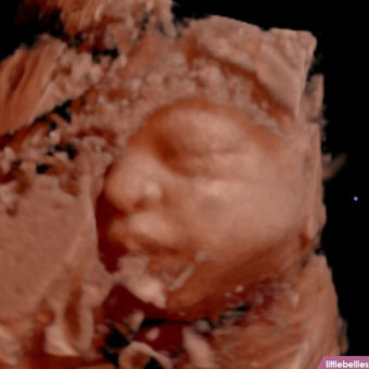 Babylist Registry Photo.