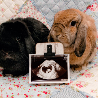 Olivia And Jacob's Baby Registry Photo.