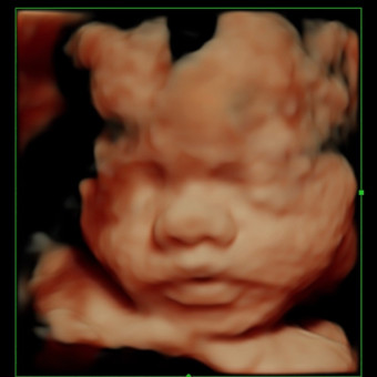 The Halliday's Baby Registry Photo.