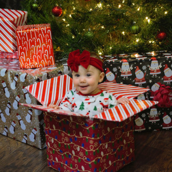 Merry Christmas Stella Photo.