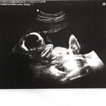 Alexia's Baby Registry Photo.