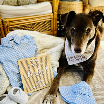 Babylist Registry Photo
