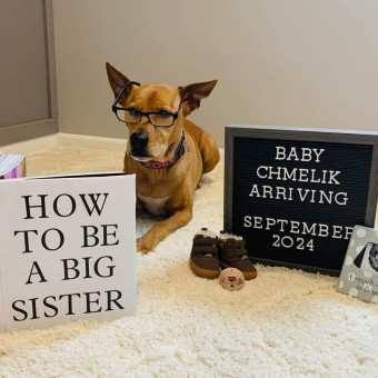 Babylist Registry Photo