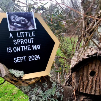 Babylist Registry Photo