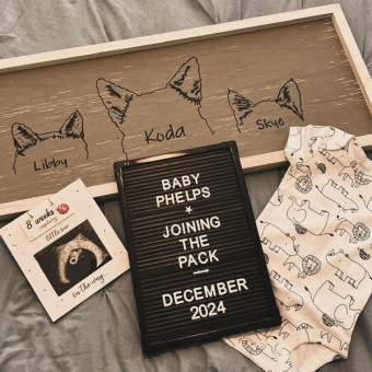 Babylist Registry Photo