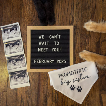 Babylist Registry Photo