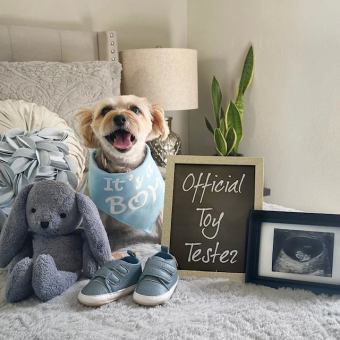 Babylist Registry Photo