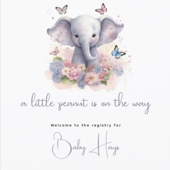 Babylist Registry Photo