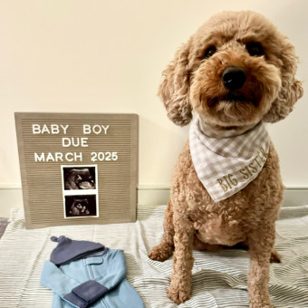 Babylist Registry Photo