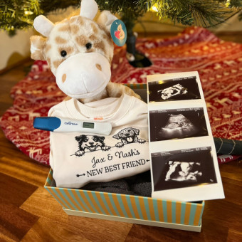 Babylist Registry Photo