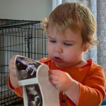 Babylist Registry Photo