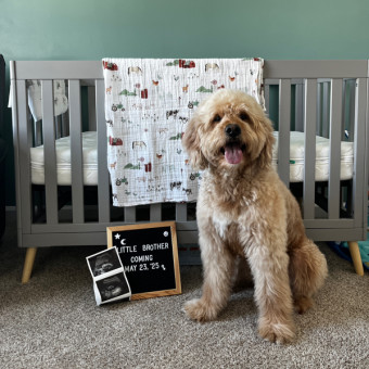 Babylist Registry Photo