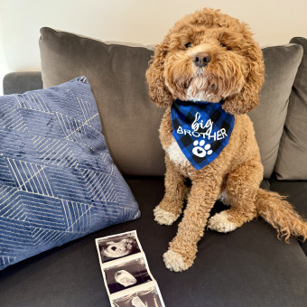 Babylist Registry Photo