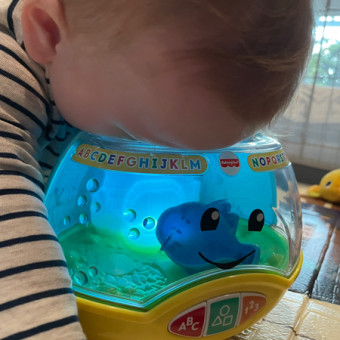 Babylist Registry Photo